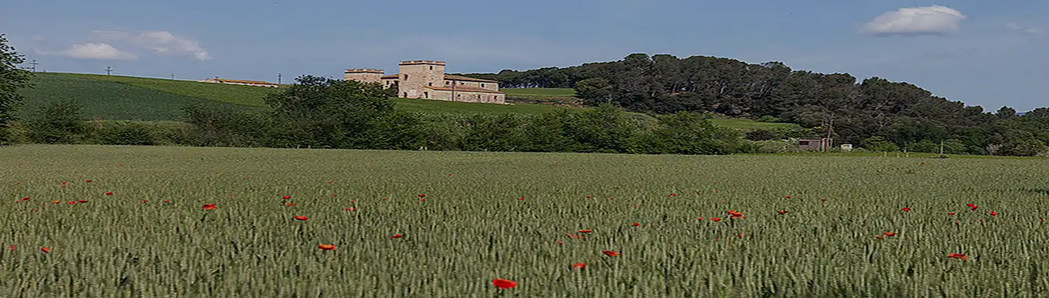 Parc de Gallecs a Parets del Vallès