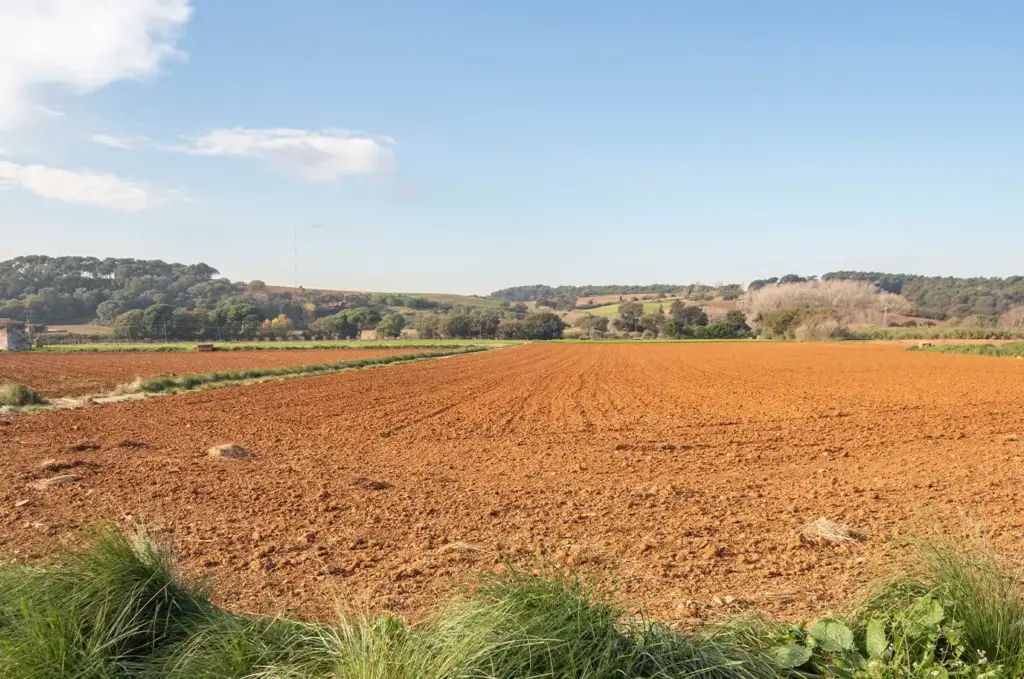 Tresor natural a Parets del Vallès