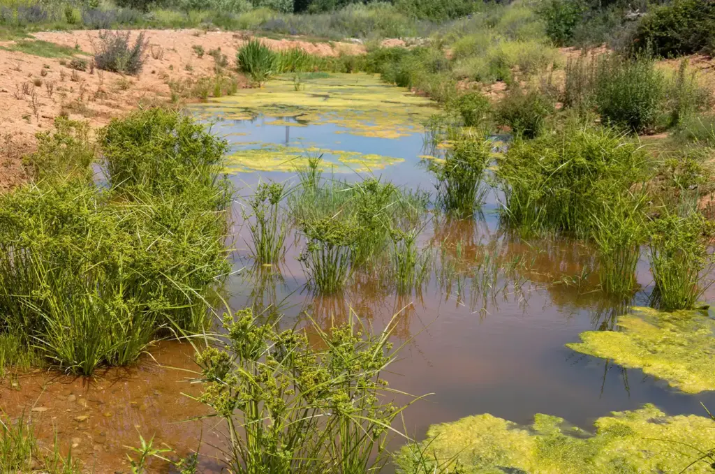 Parc Fluvial del Tenes