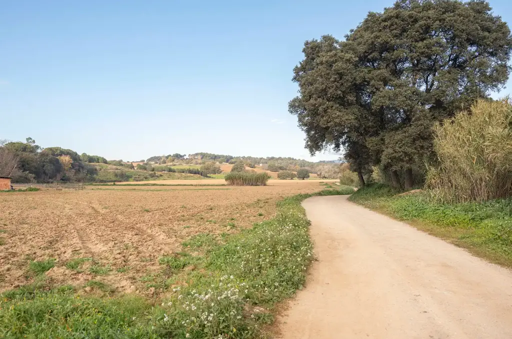 Tresor natural a Parets del Vallès