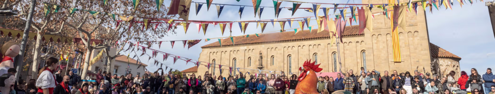 Gall i esdeveniments de Parets Medieval